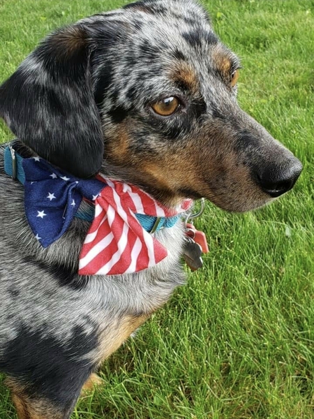 Entry image for James 'Jimmy' Bond. Clicking this image will show a larger photo