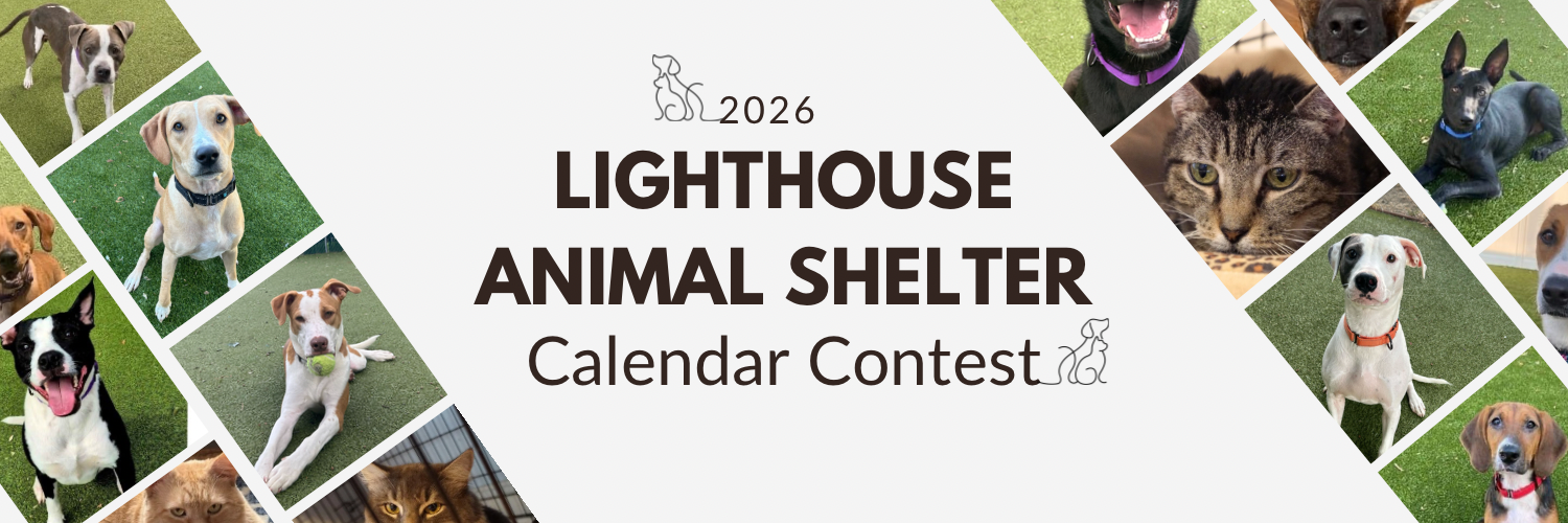 Banner for Lighthouse Animal Shelter 2026 Calendar Contest
