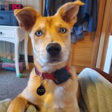Entry image for Frankie (ol'blue eyes)
