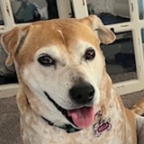 Entry image for Bella
