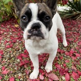 Entry image for Eleanor