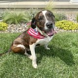 Entry image for Walter 