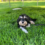 Entry image for Jackson 