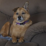 Entry image for Danica (Dani) 