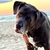 Entry image for Penelope Grace