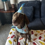 Entry image for Jasper