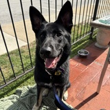 Entry image for Dierks