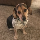 Entry image for Emma