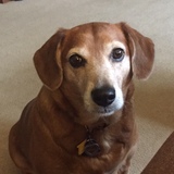 Entry image for Molly Grace 