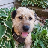 Entry image for Missy Elliott