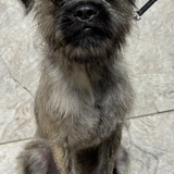 Entry image for Bruce