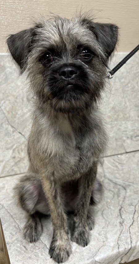 Entry image for Bruce. Clicking this image will show a larger photo