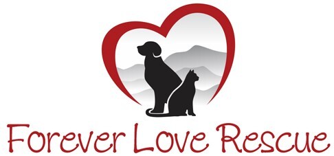 Logo for These Cats are Forever Loved