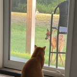 Entry image for Kevin