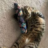 Entry image for O'Malley