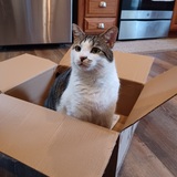 Entry image for George