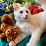 Entry image for Forever Loved Eskimo 