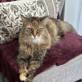 Entry image for ZOEY