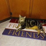 Entry image for Twinkle