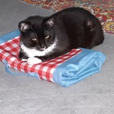 Entry image for Cleo