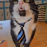 Entry image for William