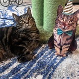 Entry image for Lukas