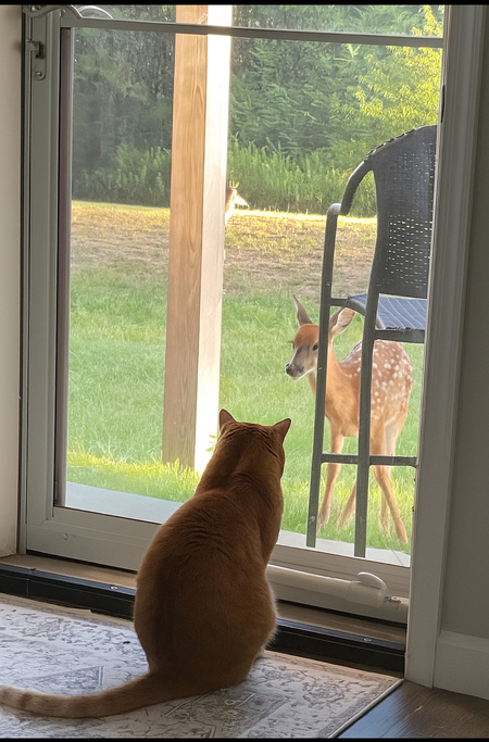 Entry image for Kevin. Clicking this image will show a larger photo