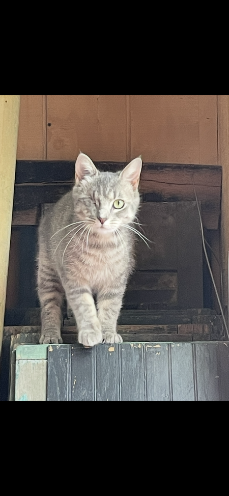 Entry image for Autumn. Clicking this image will show a larger photo