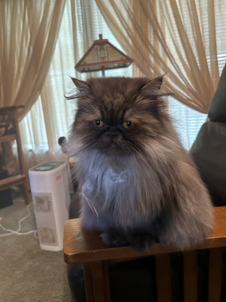 Entry image for Lorena. Clicking this image will show a larger photo