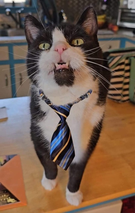 Entry image for William. Clicking this image will show a larger photo