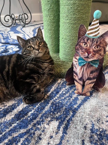 Entry image for Lukas. Clicking this image will show a larger photo