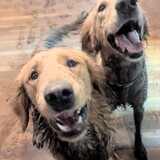 Entry image for Waylon and Loretta