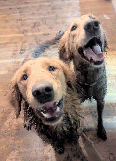 Entry image for Waylon and Loretta. Clicking this image will show a larger photo