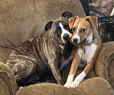 Entry image for Kami and Sweet Pea. Clicking this image will show a larger photo