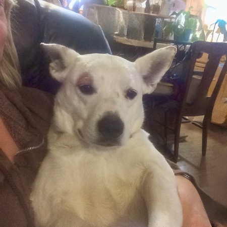 Entry image for Freckles. Clicking this image will show a larger photo