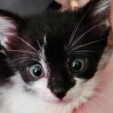 Entry image for Karen