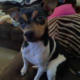 Entry image for Zara