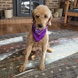 Entry image for Jemma