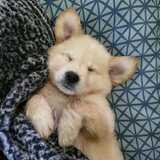 Entry image for Kevin