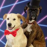 Entry image for Kevin and Best Friend Lenny