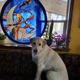 Entry image for Sophie