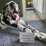 Entry image for MAxwell