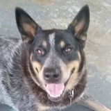 Entry image for Jewel