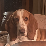 Entry image for Henri