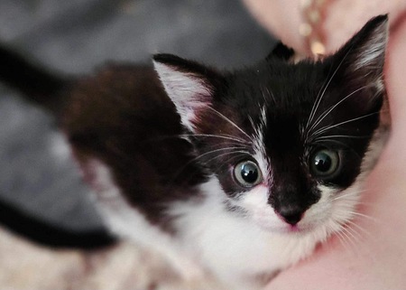 Entry image for Karen. Clicking this image will show a larger photo