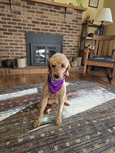 Entry image for Jemma. Clicking this image will show a larger photo