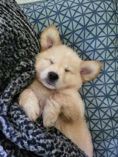 Entry image for Kevin. Clicking this image will show a larger photo