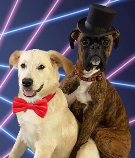 Entry image for Kevin and Best Friend Lenny. Clicking this image will show a larger photo