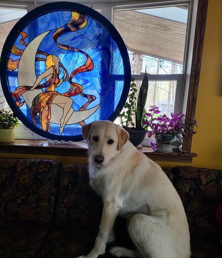 Entry image for Sophie. Clicking this image will show a larger photo