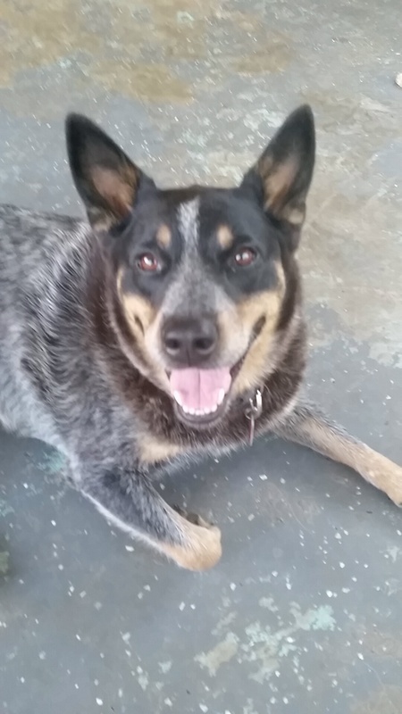 Entry image for Jewel. Clicking this image will show a larger photo